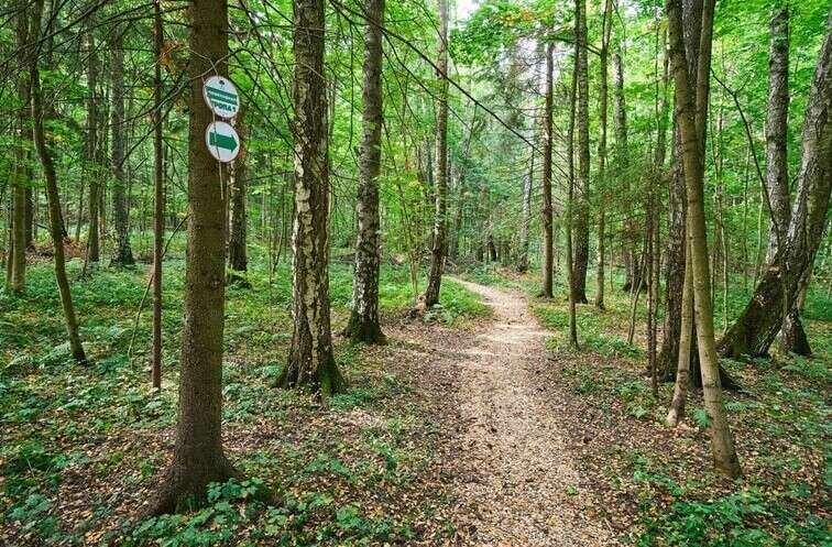 Прогулочная тропа