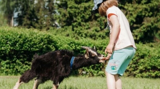 Мини-зоопарк